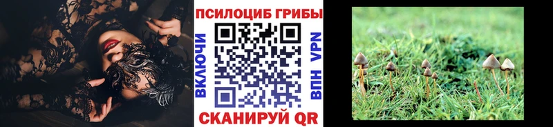 ОМГ ОМГ как зайти Ачинск Галлюциногенные грибы прущие грибы